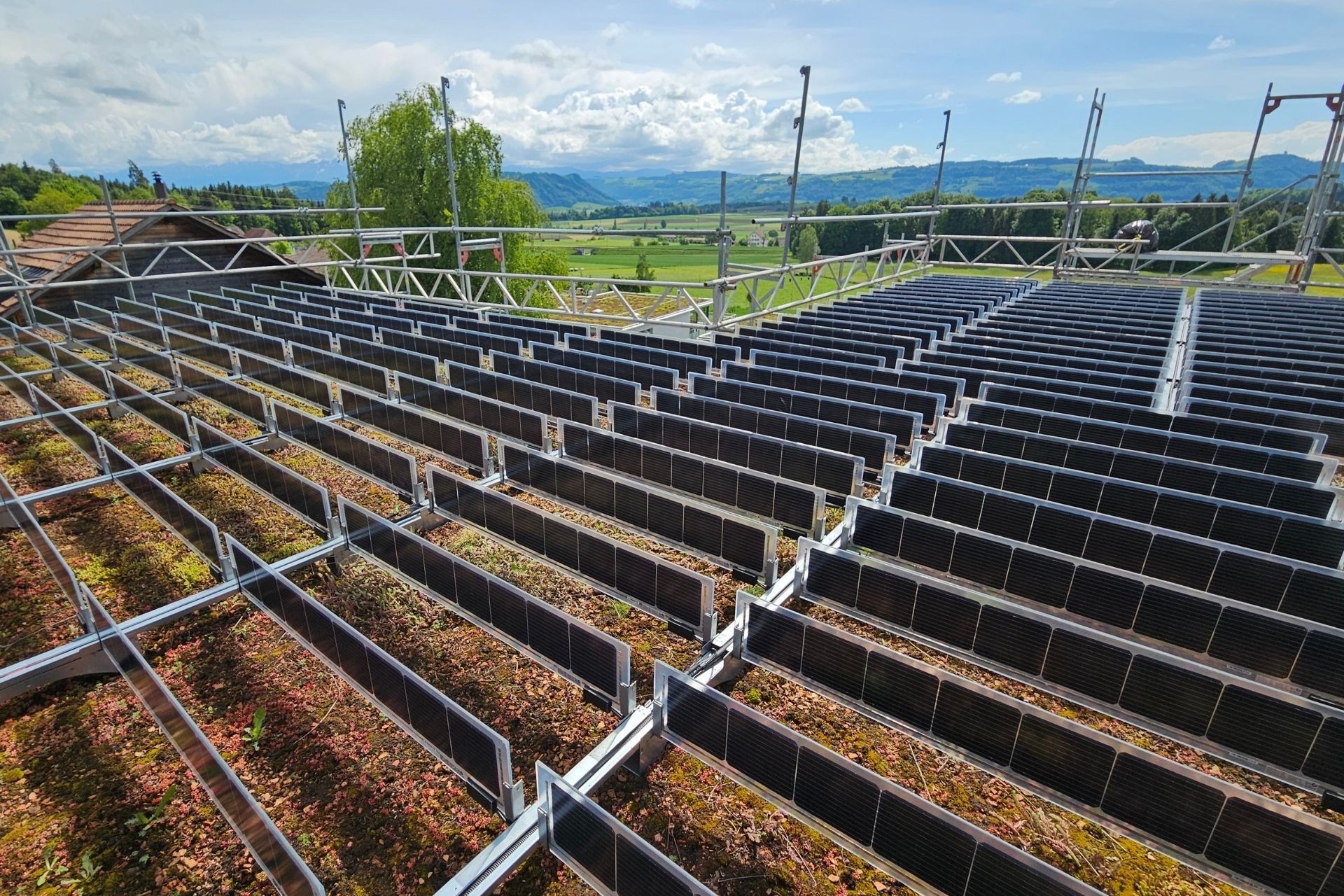 Vertikale PV-Anlage 
auf Gründach