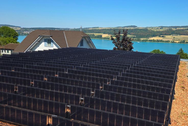 Vertikales Gründachsystem auf ext. begrüntem Flachdach