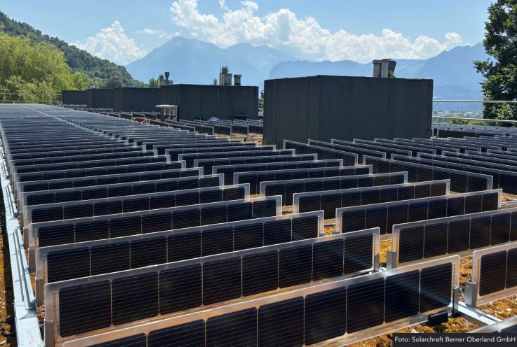 Vertikale Gründach-PV-Anlage